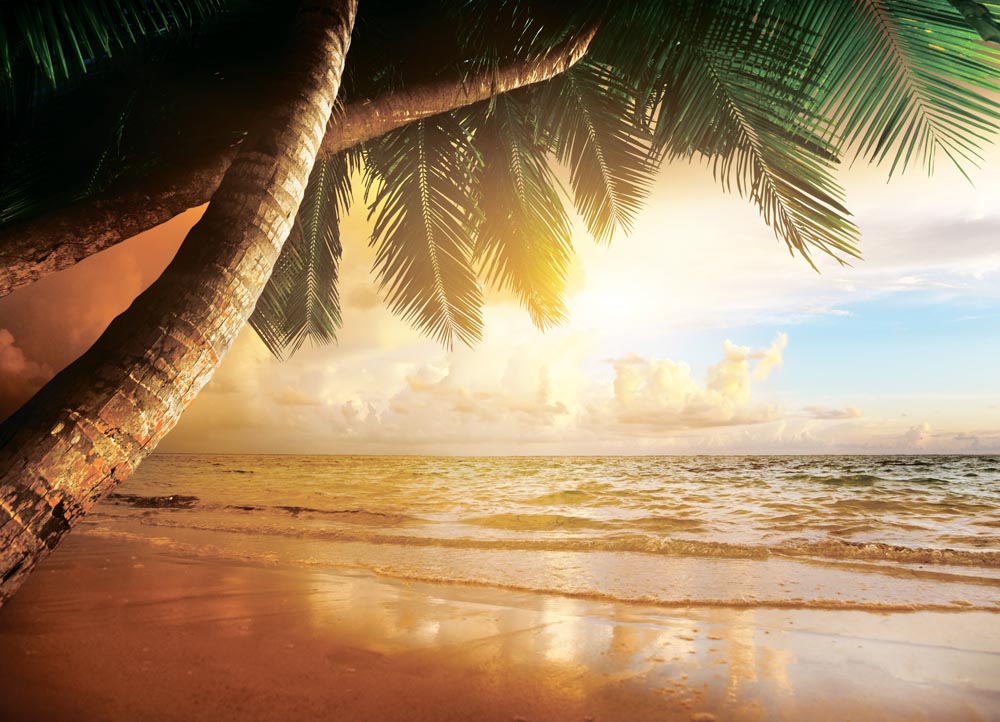 Фотообои WS Wallpaper Райский пляж 360x260 см (31044)