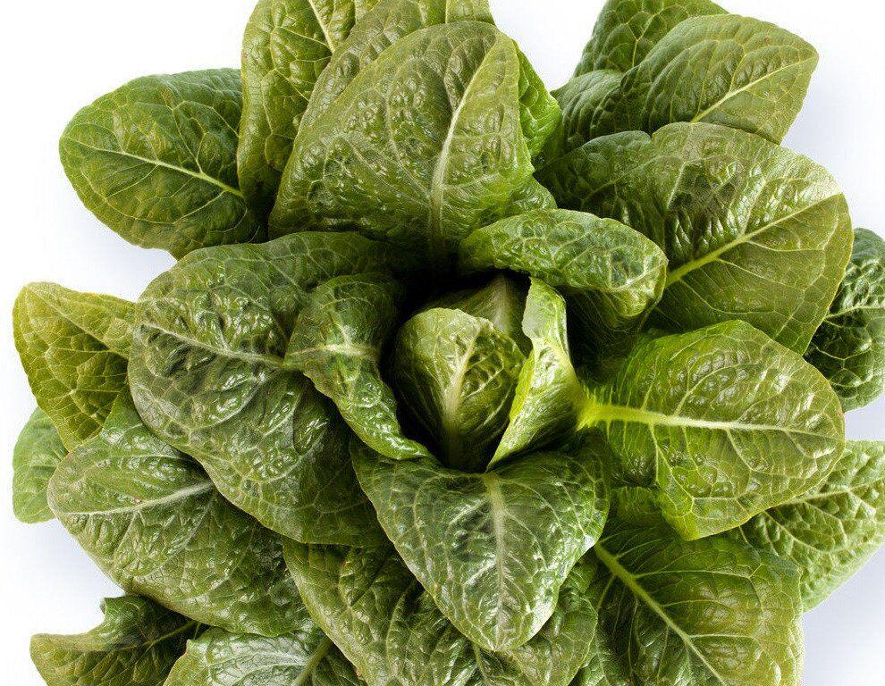 Насіння Салат Айвона ТД Гекса-Україна 01-26-178 1000 шт. (IR01475)