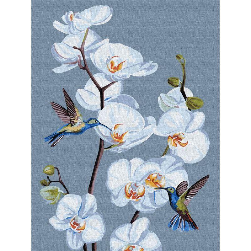 Картина за номерами Ideyka Квітучі орхідеї KHO3241 30x40 см (RLT32146)