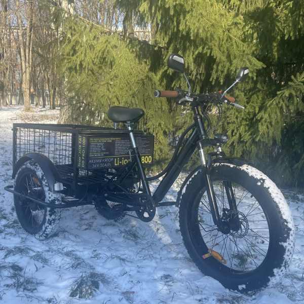 Електровелосипед триколісний Tiras JOB FAT 2420 PRO-1000 36 V 50 Ah - фото 2