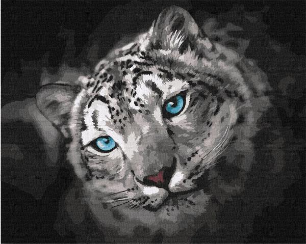 Картина по номерам Идейка Небесный взгляд 40х50 см в термопакете (КНО4306-mt)