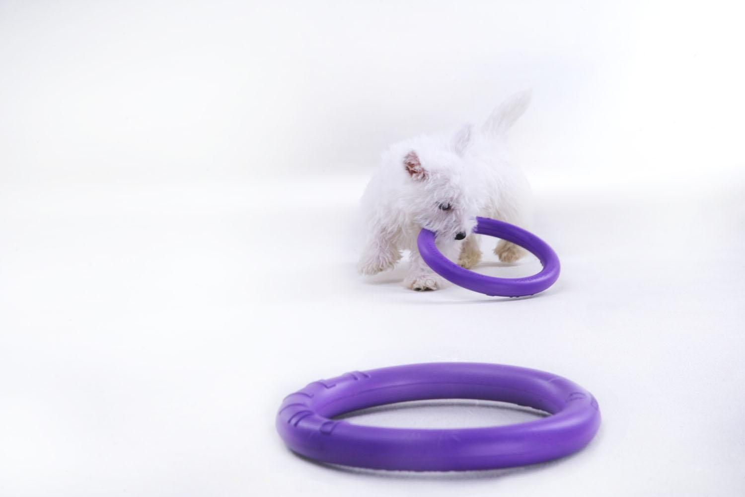 Тренувальний снаряд для собак Puller Micro 12,5 см (6489) - фото 5 Тренувальний снаряд для собак Puller Micro 12,5 см (6489) - фото 5