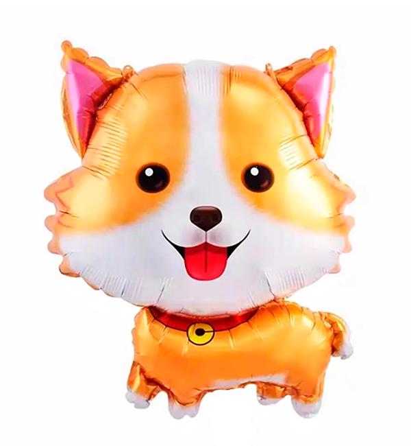 Воздушный шар Корги 495х68 см (10886730)