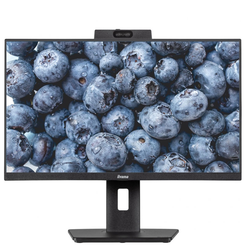 Монитор безрамочный iiyama XUB2490HSUH-B1 IPS 1920x1080 Full HD 24" 4W (26832312)