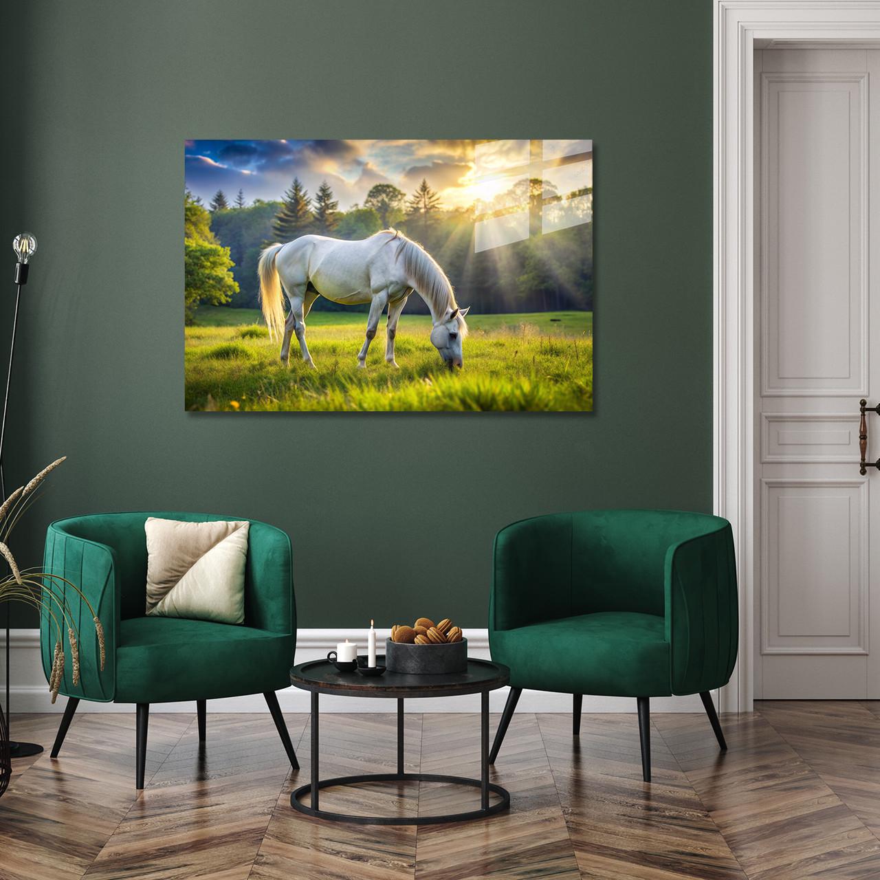 Картина на склі NovellaPrint Біла кінь на лузі 60х40 см (386.1)