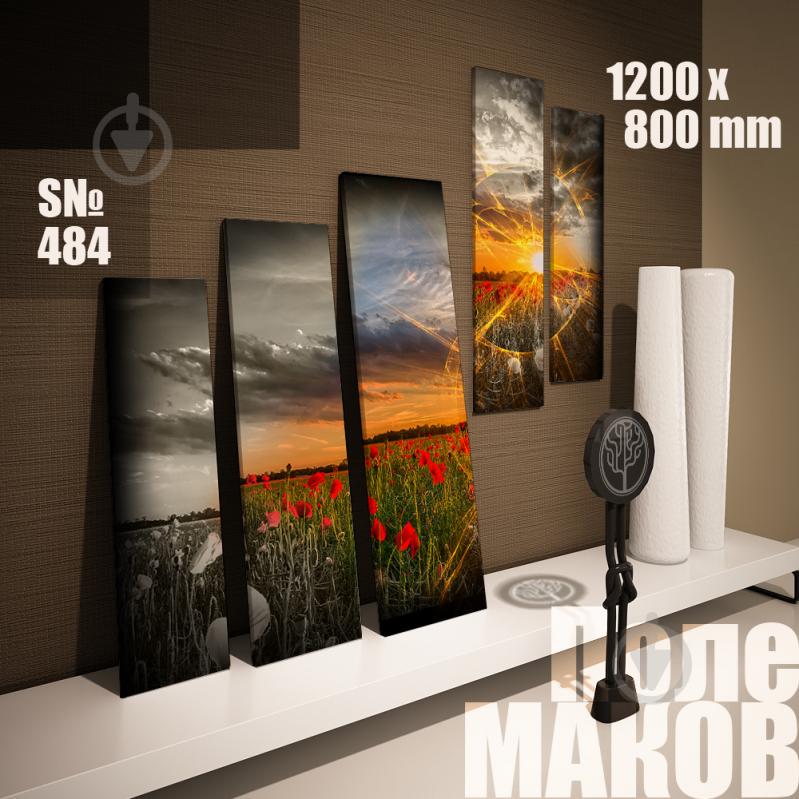 Модульная картина Декор Карпаты поле маков 120х80см (s484)