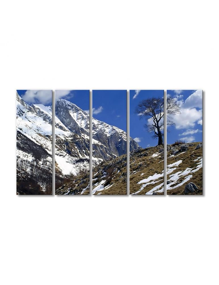 Картина модульная Снежные горы небо 5 модулей 80x120 см