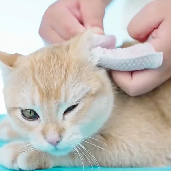 Салфетки по уходу за животными 50 шт. (J00127-1) - фото 6