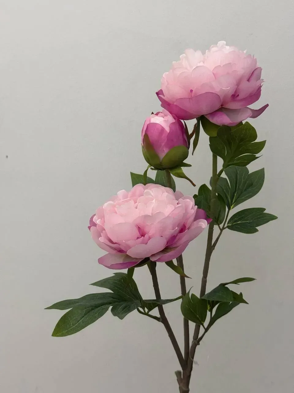 Штучна текстильна півонія 2 квітки 1 бутон на гілці 78 см Ніжно-рожевий (P0029)