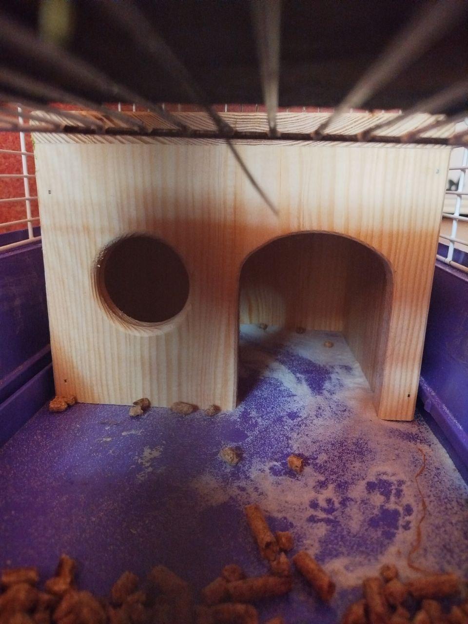 Домик для гызунов на пол Эмма из древесины 21х17х16 см Бежевый - фото 3 Домик для гызунов на пол Эмма из древесины 21х17х16 см Бежевый - фото 3