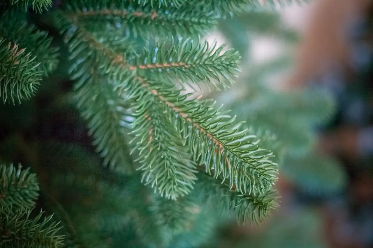 Искусственная елка литая Роял 2,7 м (12914043) - фото 2 Искусственная елка литая Роял 2,7 м (12914043) - фото 2