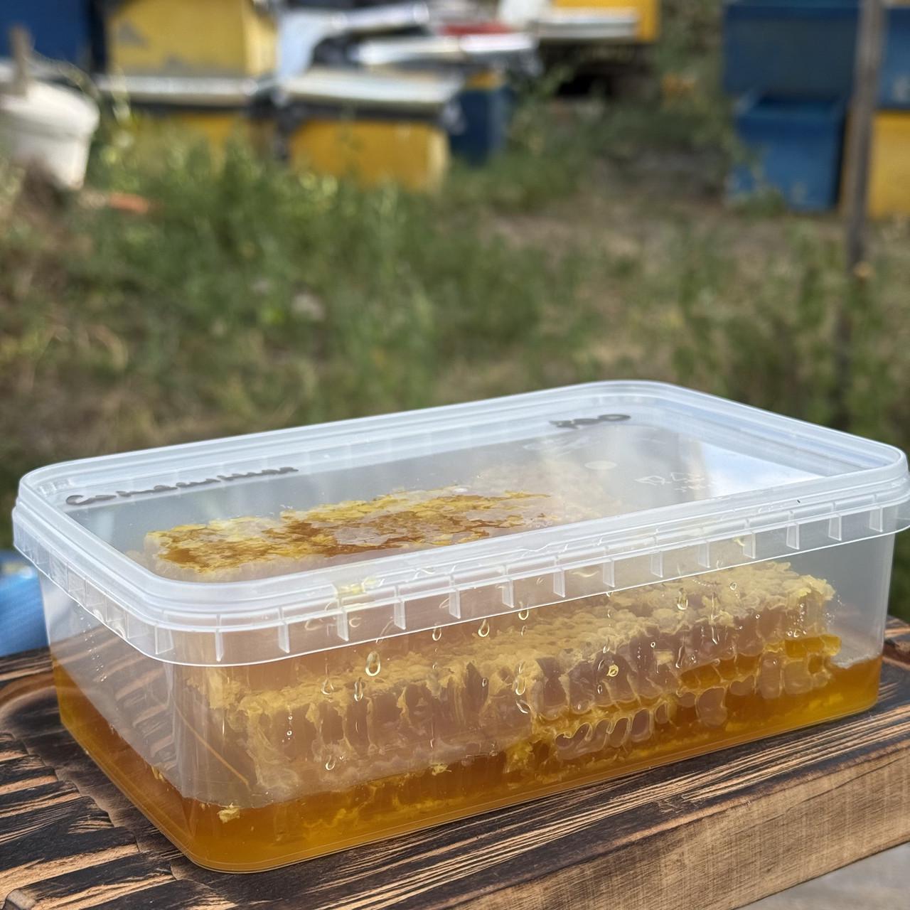 Соты меда Разнотравье/подсолнечник 700 г 2025 г. (2689760544)