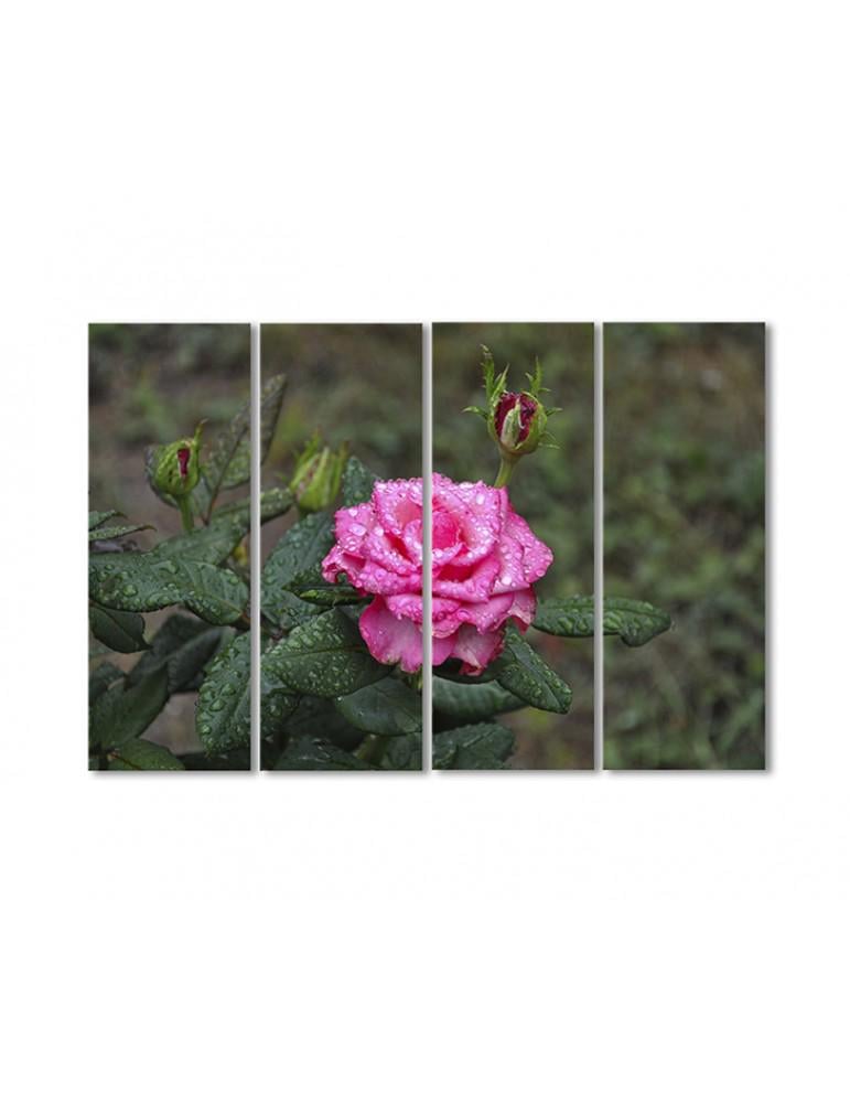 Картина модульная Розовая роза после дождя 4 модуля 120x180 см