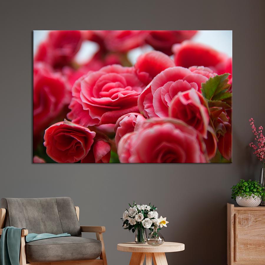Картина цветы и растения Цветы бегонии 80x54 см (A1062-1)