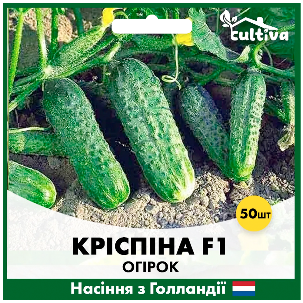 Семена огурца Nunhems Криспина F1 50 шт. (O26)