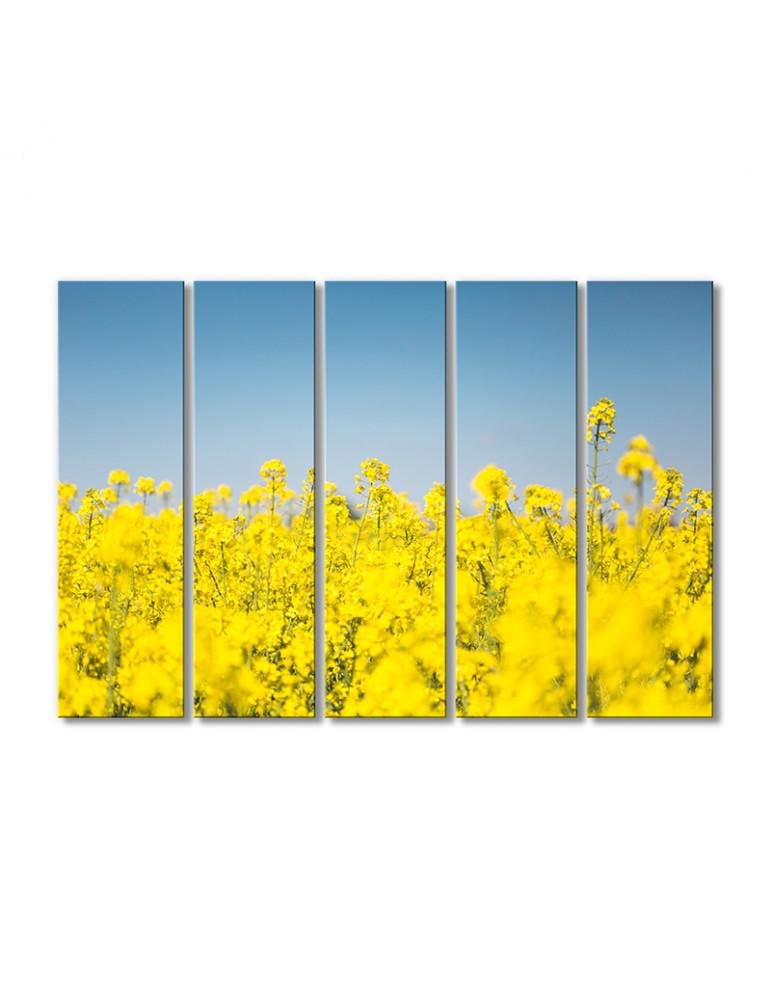 Картина модульная Рапсовое поле 5 модулей 70x105 см
