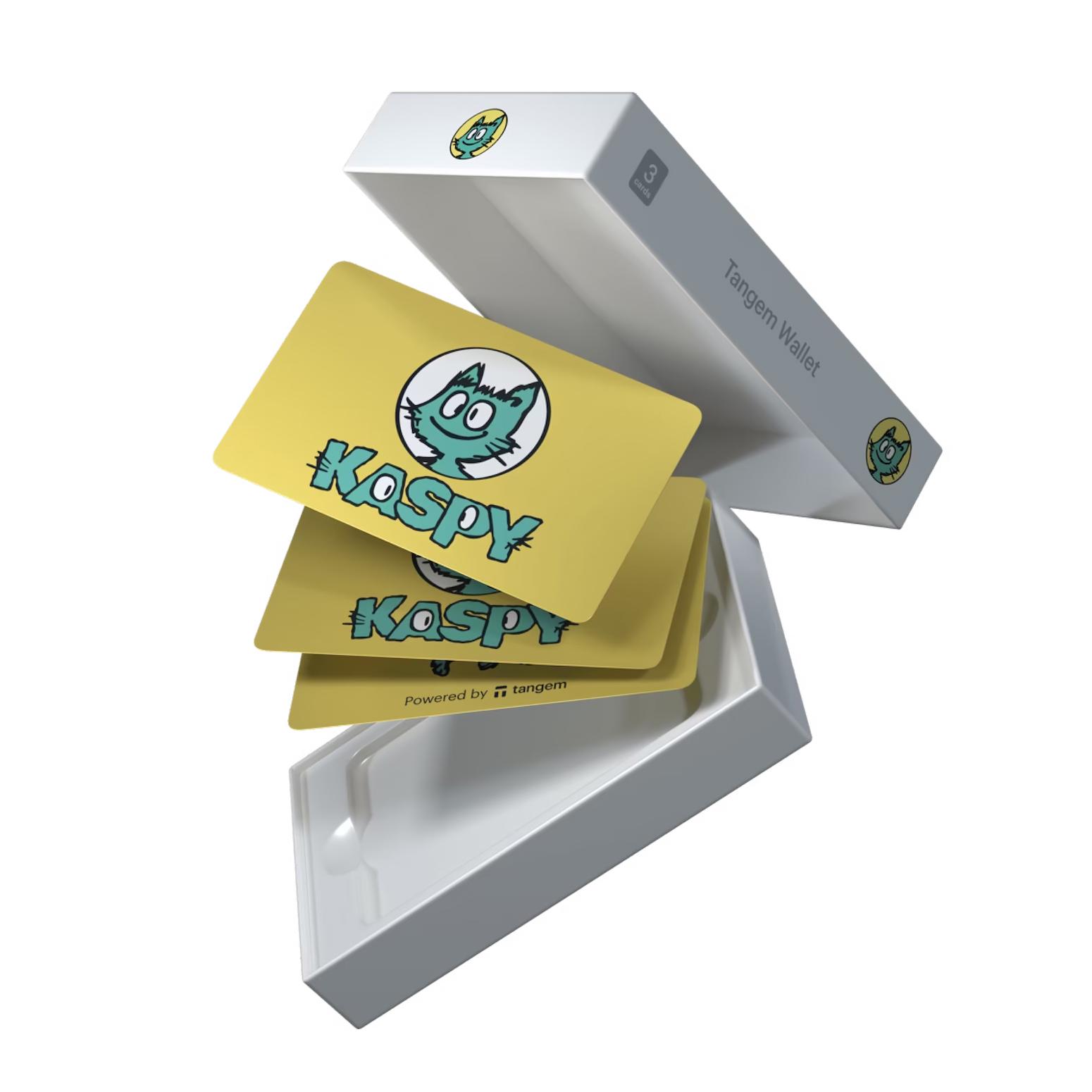 Набор карточек-кошельков для криптовалют Tangem 2.0 Wallet Kaspy 3 шт. (TG-KASPY)