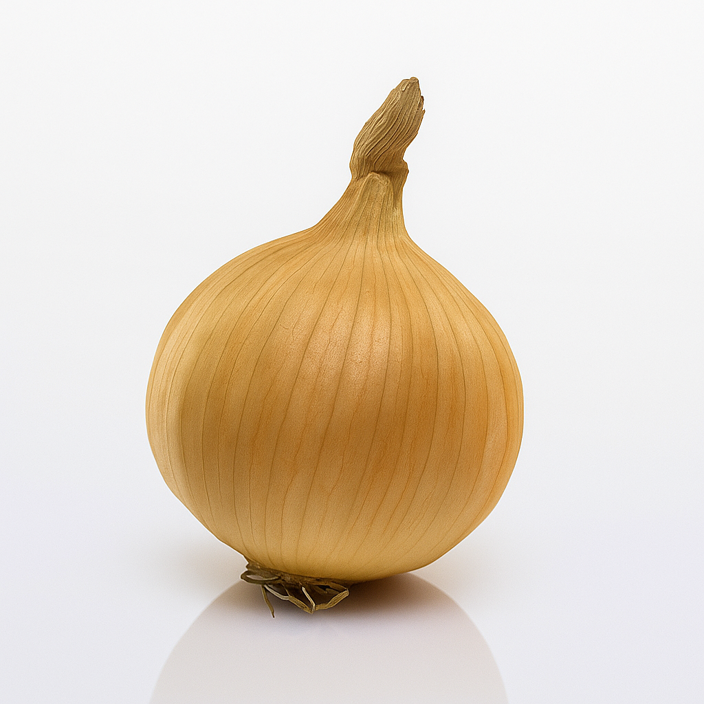 Лук севок BroerB.V. Радар Ф1 100 г (2679641536)