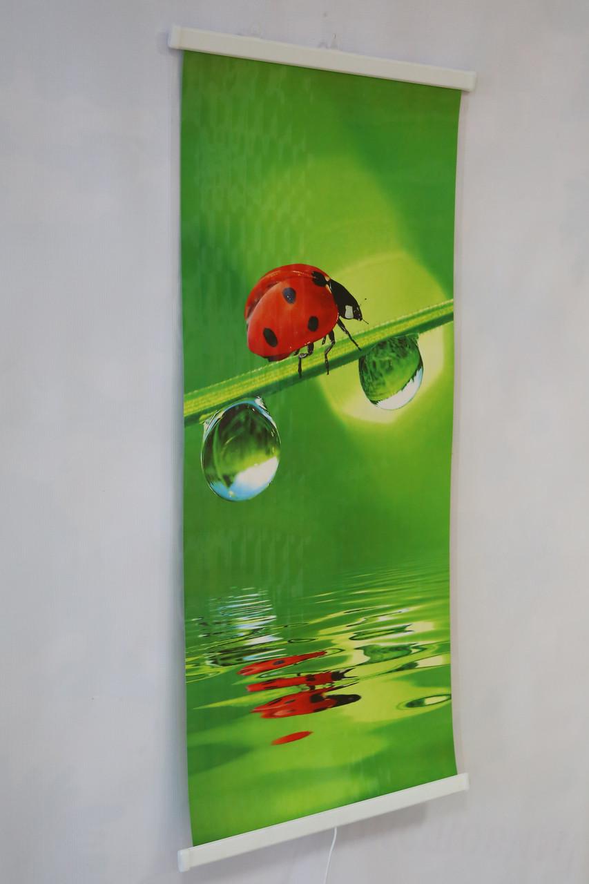 Обогреватель электрический пленочный настенный картина Божья коровка 200 Вт 100х46 - фото 4 Обогреватель электрический пленочный настенный картина Божья коровка 200 Вт 100х46 - фото 4