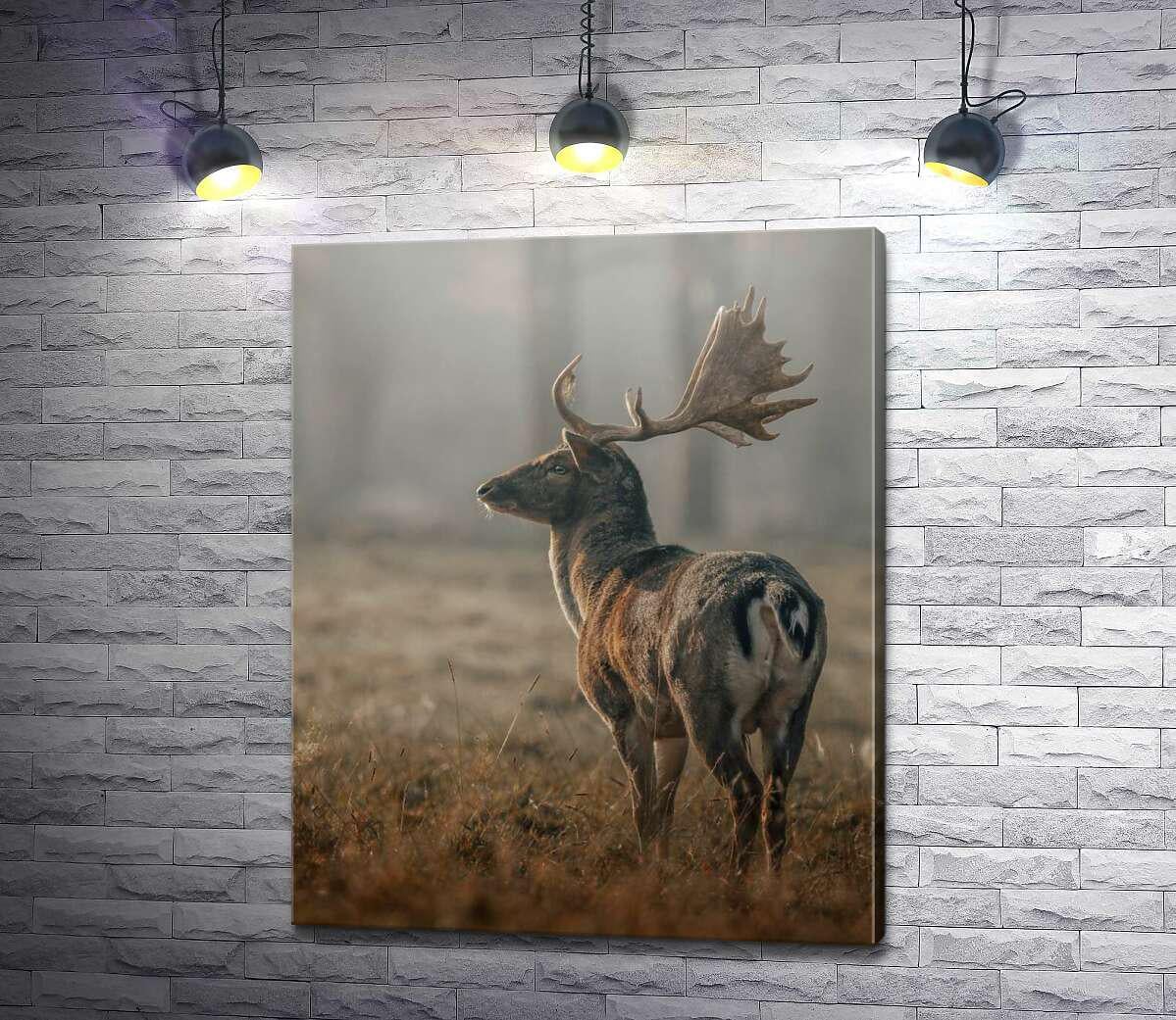 Картина ArtPoster Благородный олень в утренней дымке 80x100 см Модуль №1 (004254)