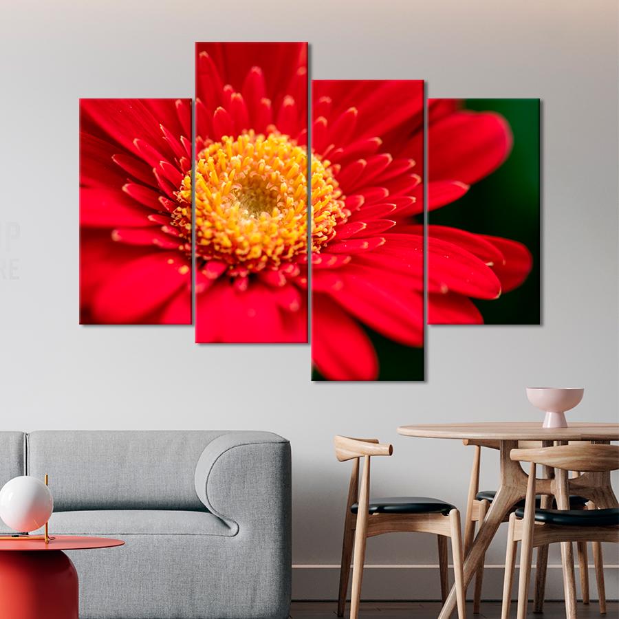 Картина цветы и растения Гербера крупным планом 149x106 см (A979-4)