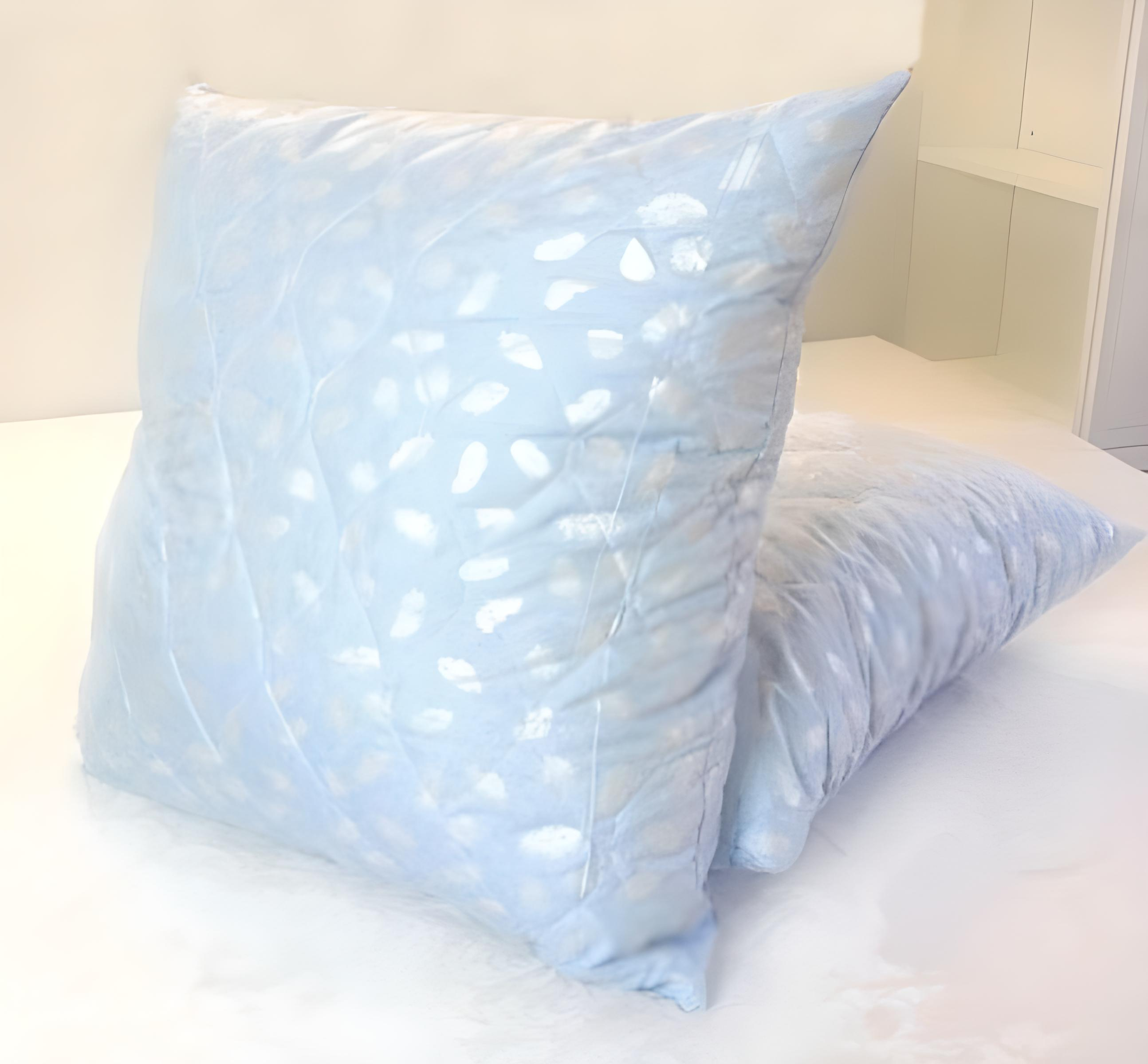 Набор подушек Экопух Vital PL-1 50x70 см 2 шт. (DR006535)