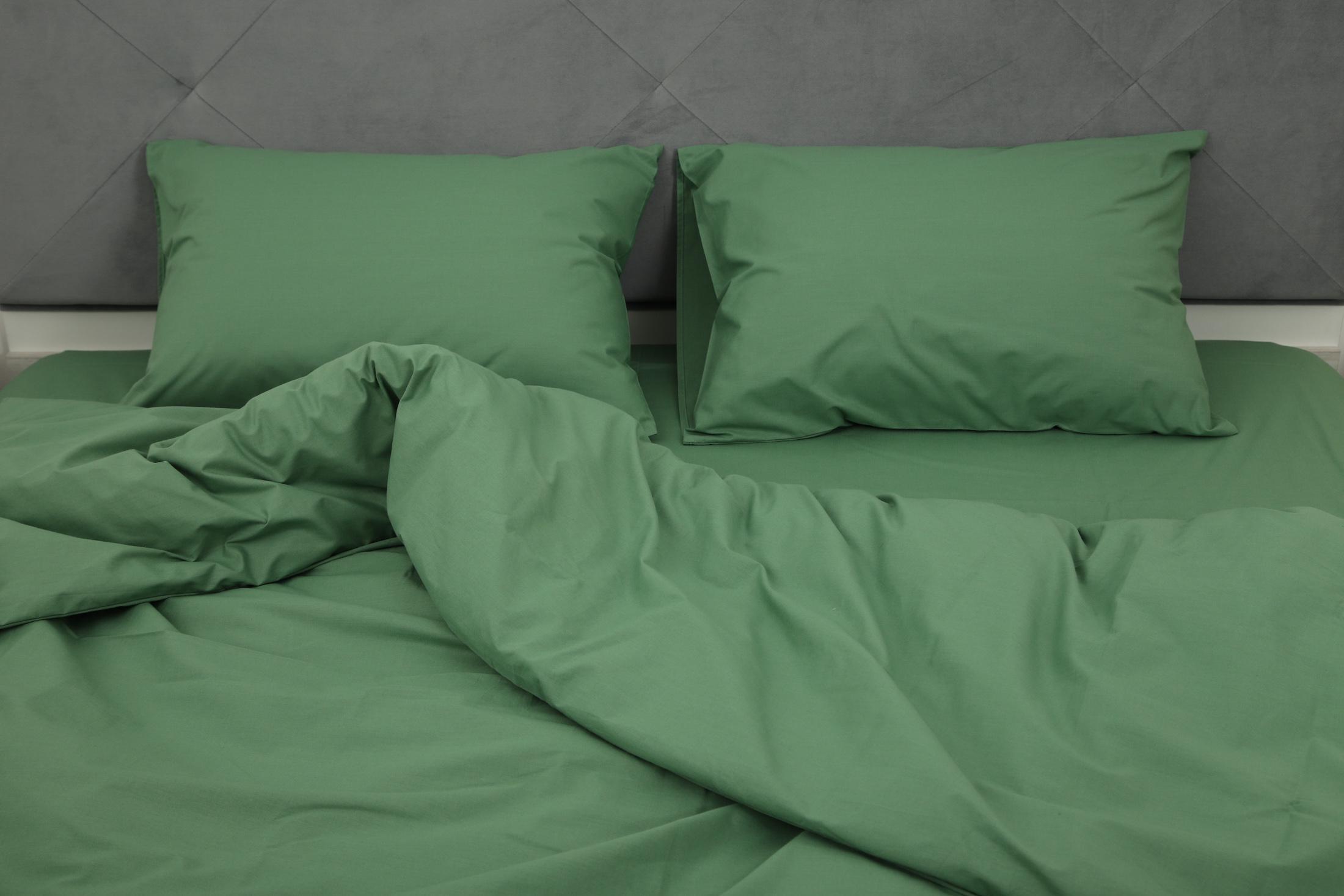 Комплект постельного белья евро Amore 6318 ранфорс Зеленый (KPB-Ae-R-6318(50x70)_) - фото 6 Комплект постельного белья евро Amore 6318 ранфорс Зеленый (KPB-Ae-R-6318(50x70)_) - фото 6