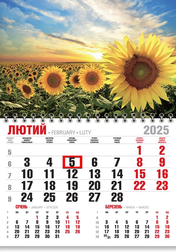 Календар на 2025 р. Економ Соняхи Календар на 2025 р. Економ Соняхи