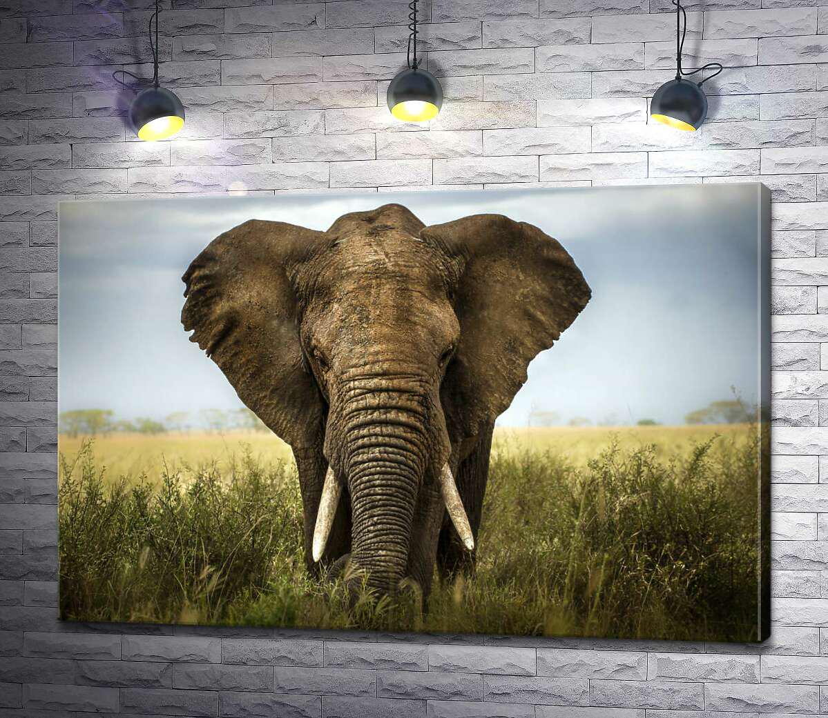 Картина ArtPoster Белые бивни – грозная охрана покоя слона 50x33 см Модуль №1 (003414)