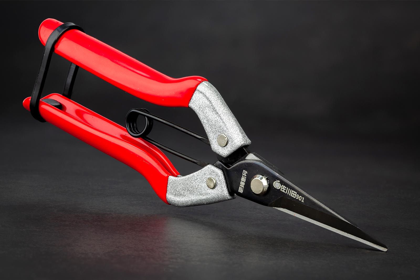 Ножиці садові Sagawata з нержавіючої сталі 185 мм (P-901) - фото 5 Ножиці садові Sagawata з нержавіючої сталі 185 мм (P-901) - фото 5