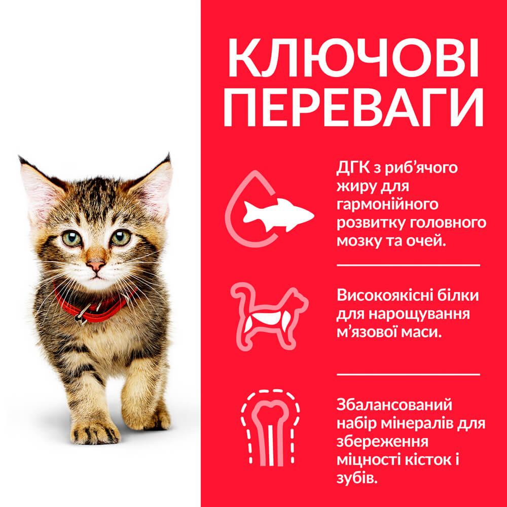 Корм сухой Hill's Science Plan Kitten в период беременности и лактации с курицей 0,3 кг - фото 2 Корм сухой Hill's Science Plan Kitten в период беременности и лактации с курицей 0,3 кг - фото 2