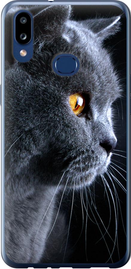 Чехол на Samsung Galaxy A10s A107F Красивый кот (3038u-1776-42517)
