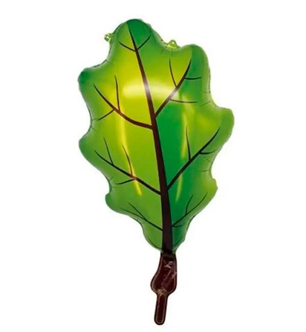 Воздушный шар Лист дуба 42х67 см Зеленый (13423376)