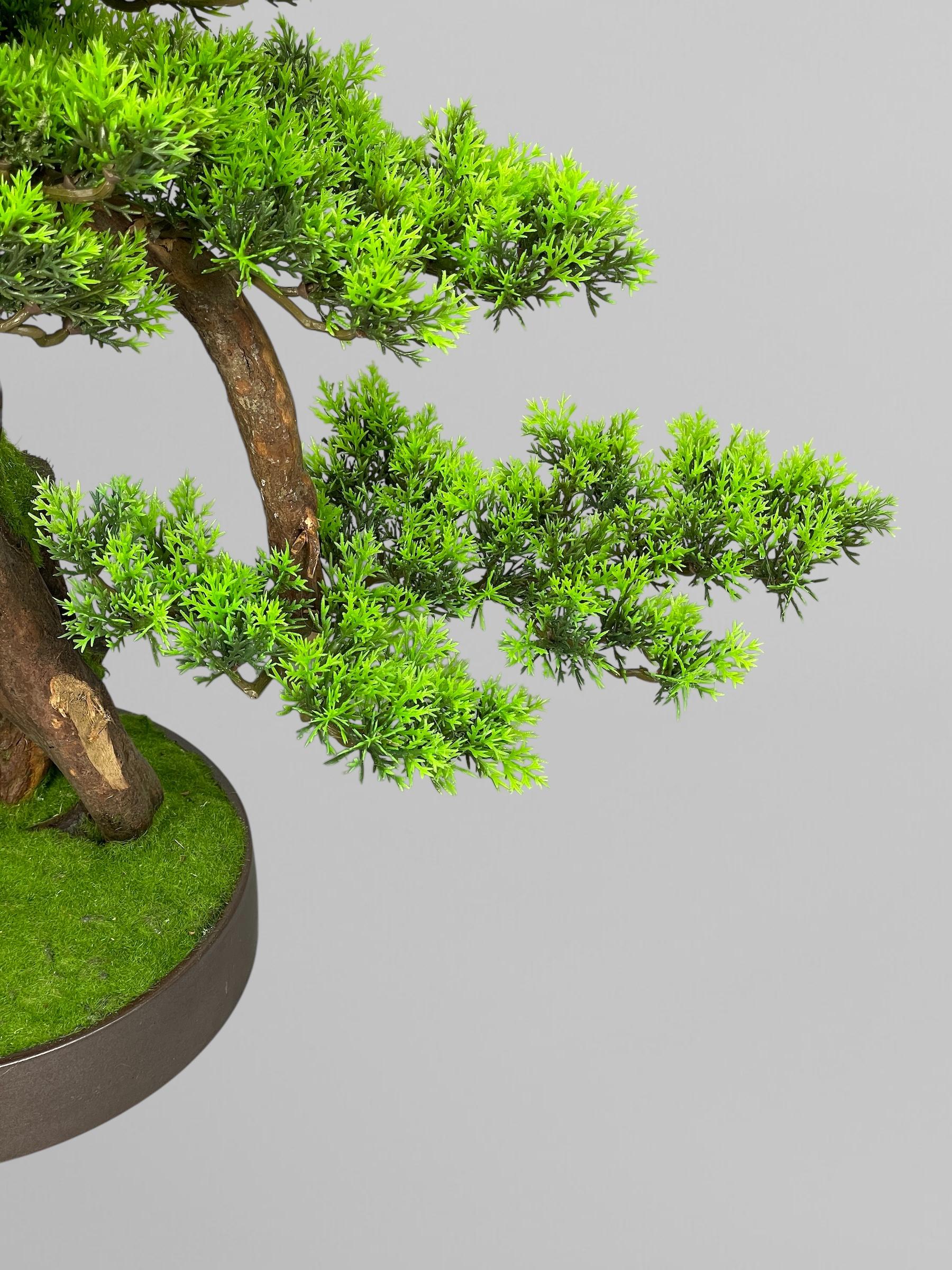 Бонсай 45 см Зеленый (Б009) - фото 5 Бонсай 45 см Зеленый (Б009) - фото 5