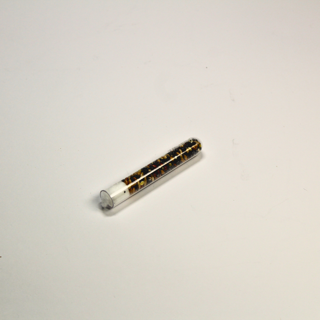 Корм для муравьев Messor structor 3-х месячный набор зерна (2542367955)