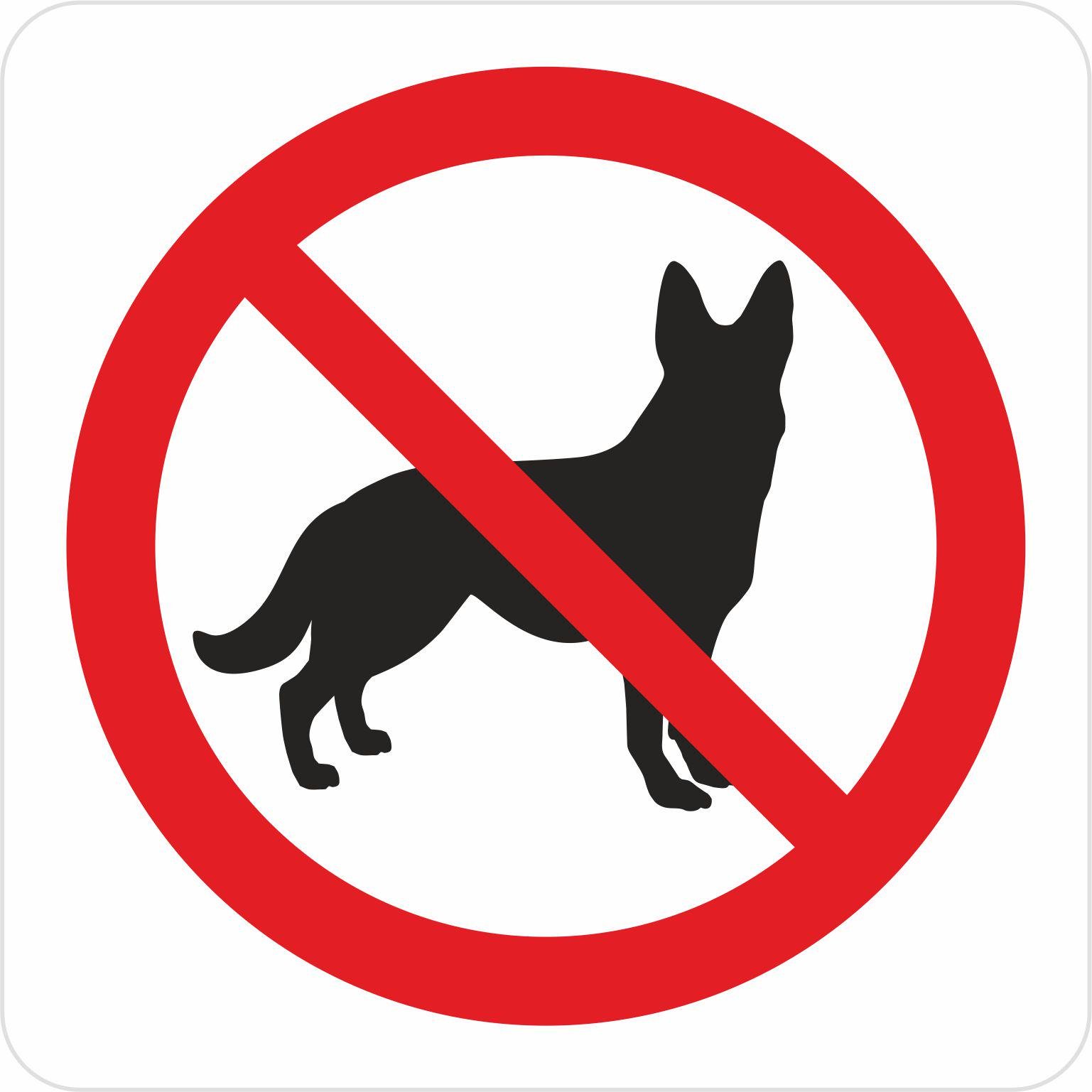 Знак Заборона вигул собак ПВХ 15х15 см (59900)