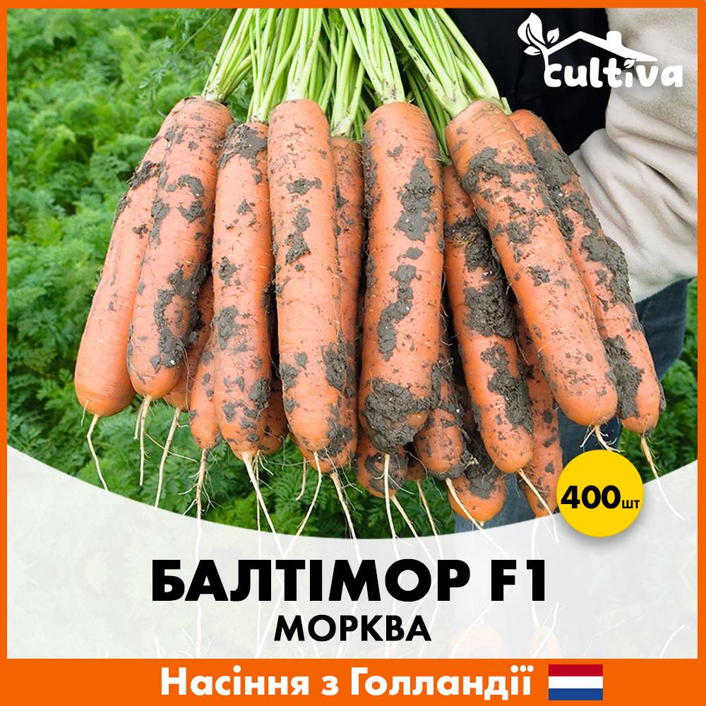 Семена моркови Bejo Балтимор F1 400 шт. (XR50233-400)