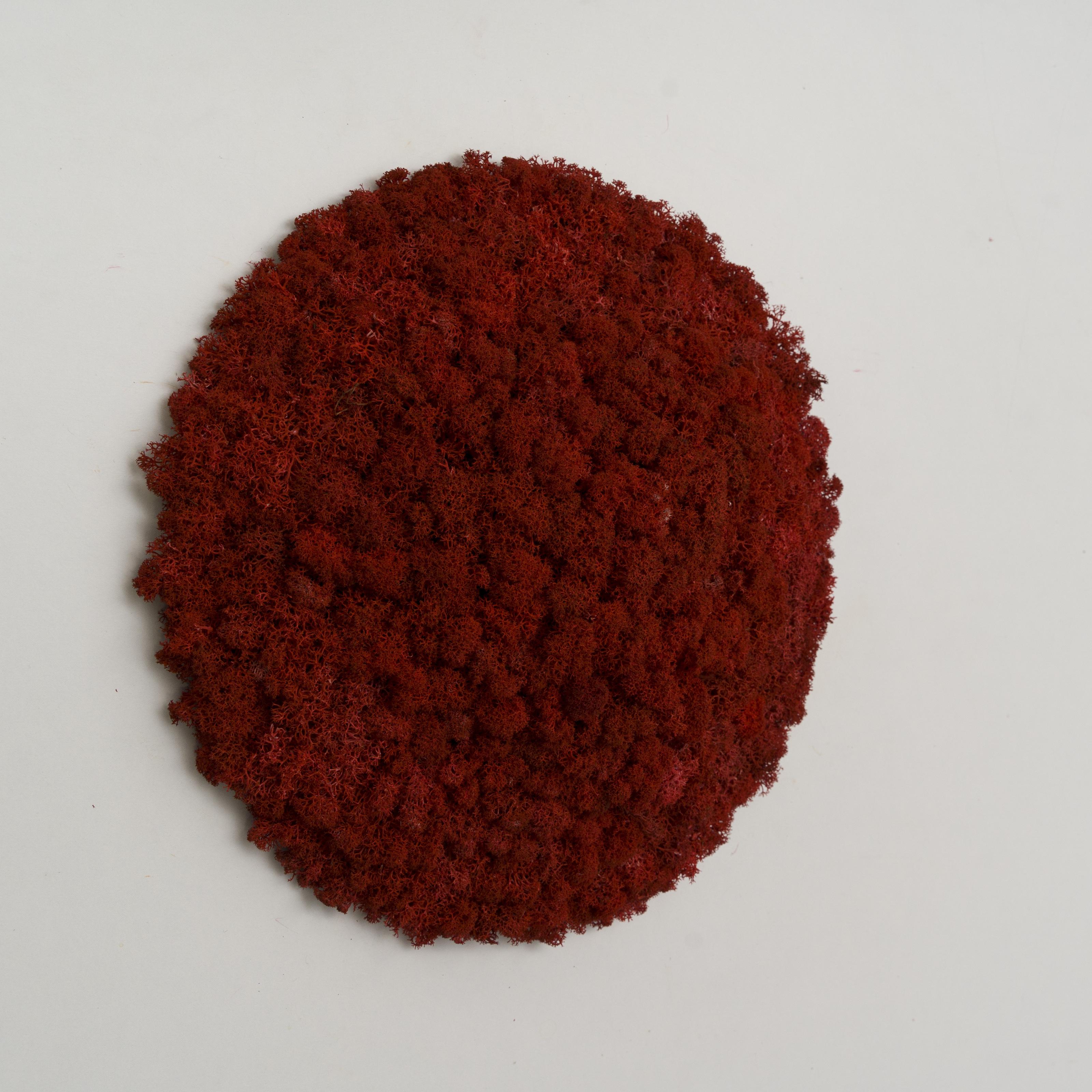 Декоративное панно из мха Organic Design d 33 см Red (701-07) Декоративное панно из мха Organic Design d 33 см Red (701-07)