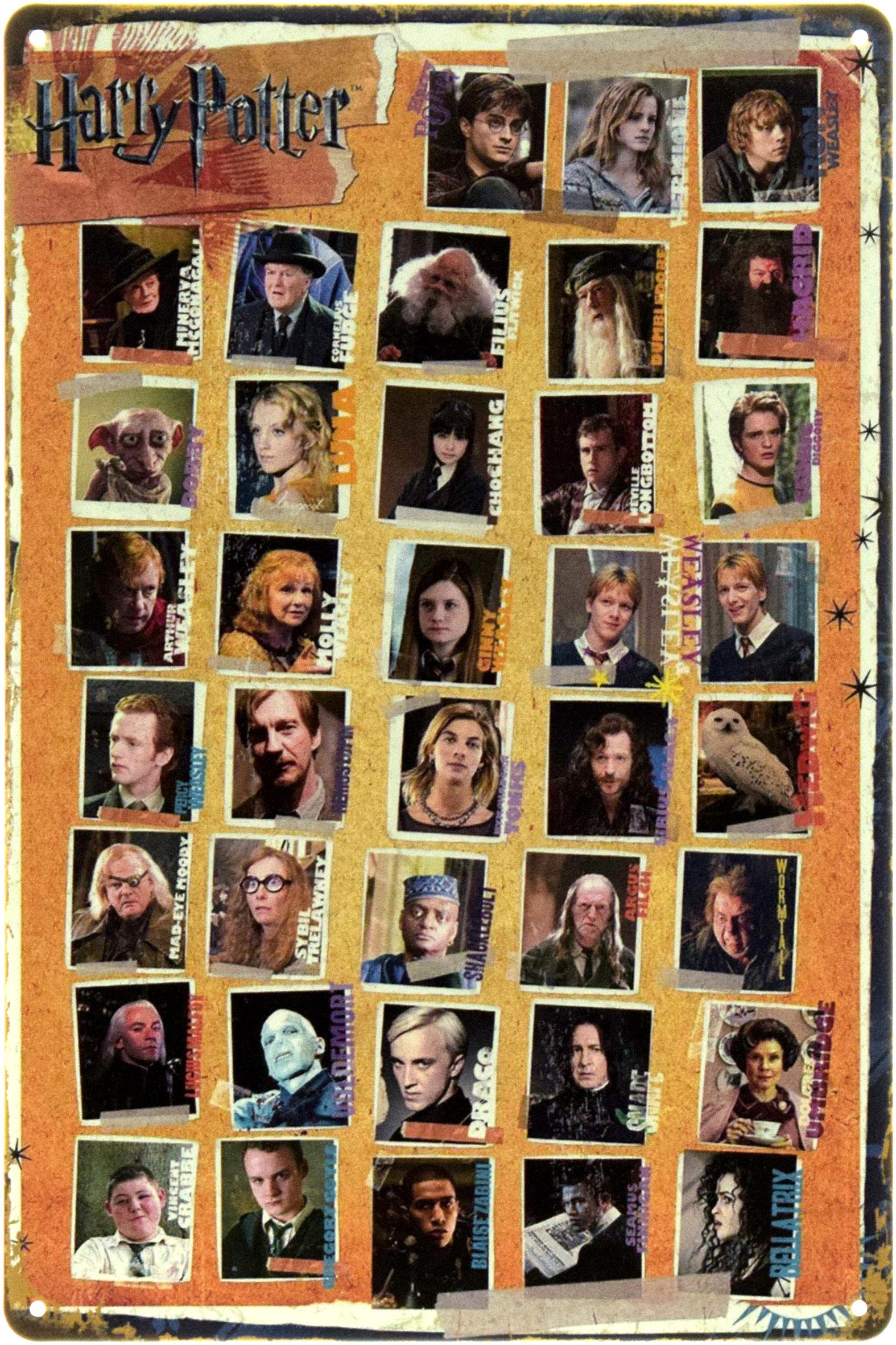 Табличка металлическая "Harry Potter" 20x30 см (ms-104447)