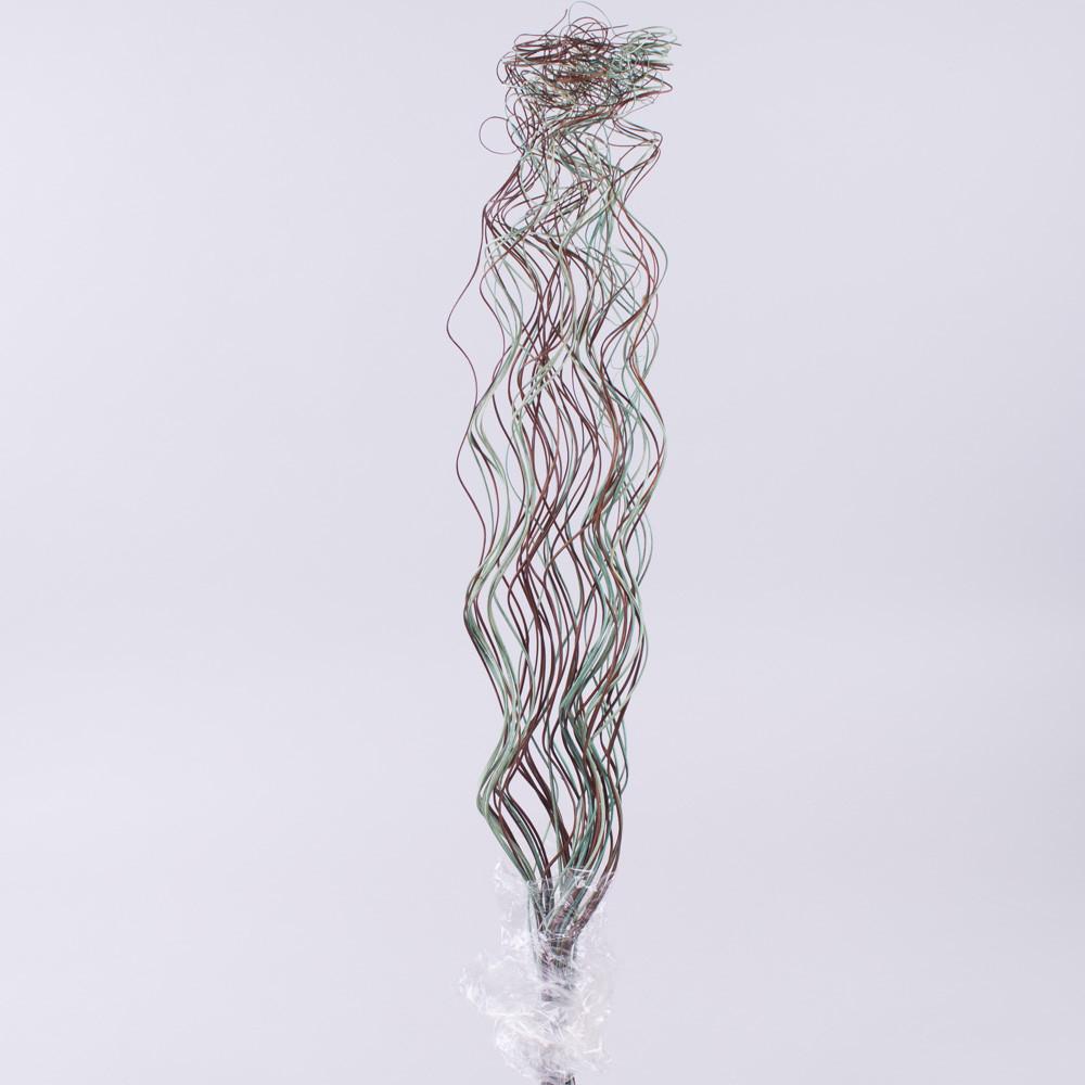 Сухоцвет ветки спиральки Коричневый/Зеленый (4561-7)