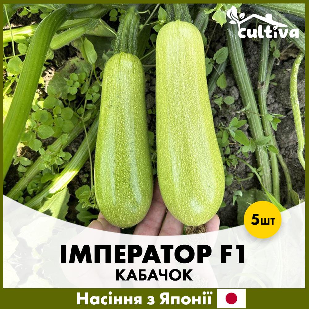 Семена кабачки Sakata Император F1 5 шт. (R51063)