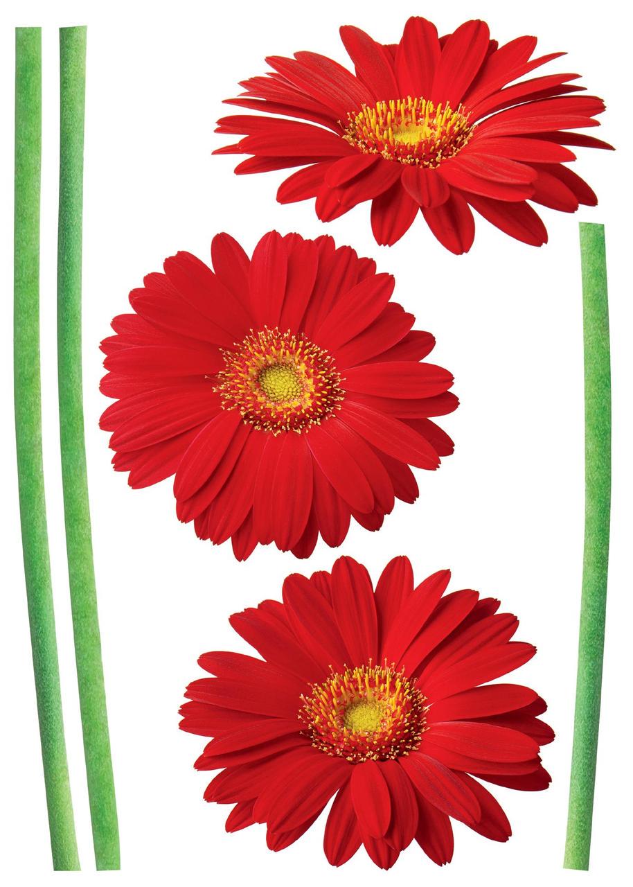 Декоративная наклейка Арт-Декор 7 Герберы 50х70 см (2000000535531)