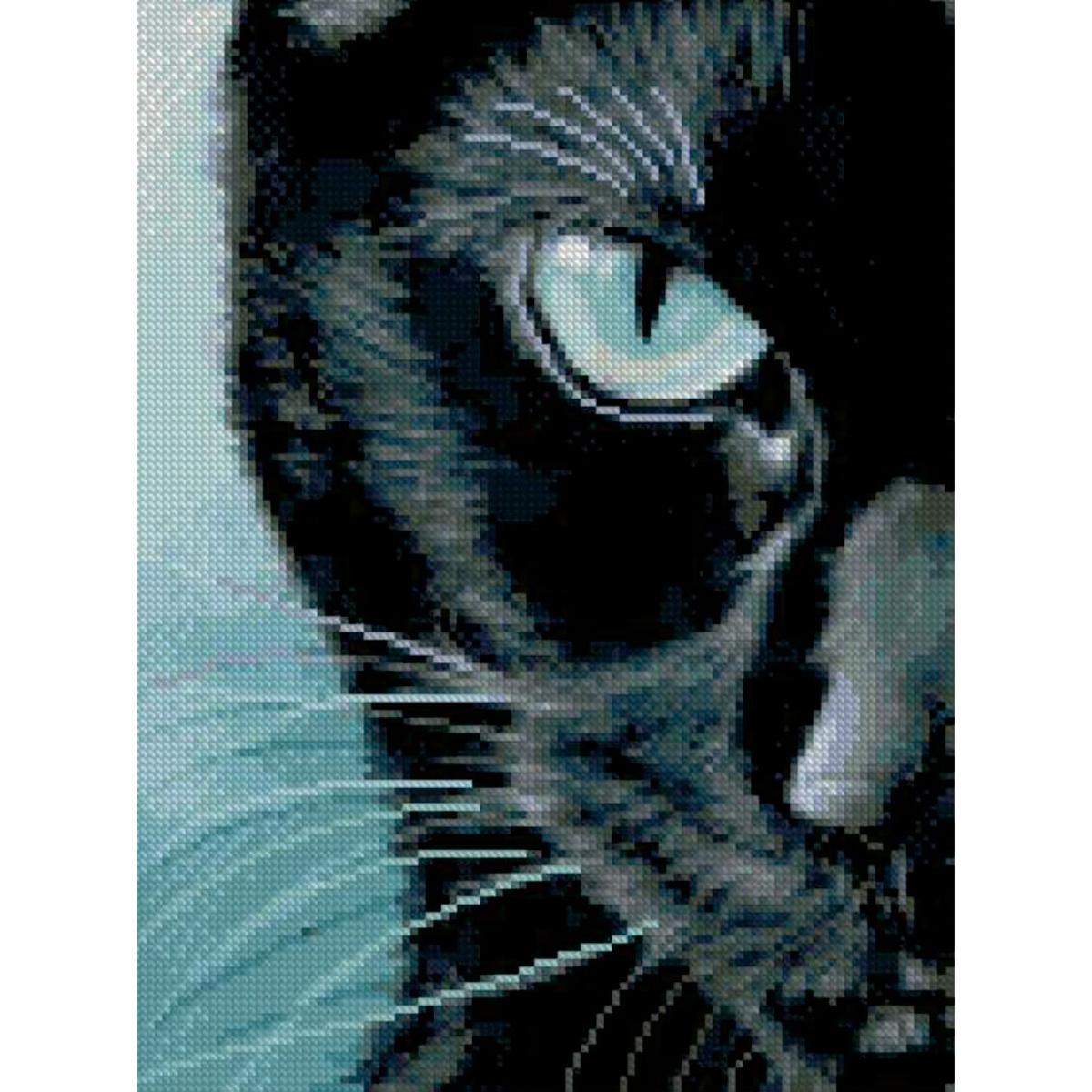 Алмазная мозаика Strateg Холодный взгляд 30х40 см (Str-HX222)