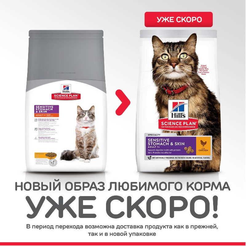 Корм сухой для котов с чувствительным желудком Hill's Science Plan Sensitive Stomach&Skin с курицей 300 г (604074) - фото 2