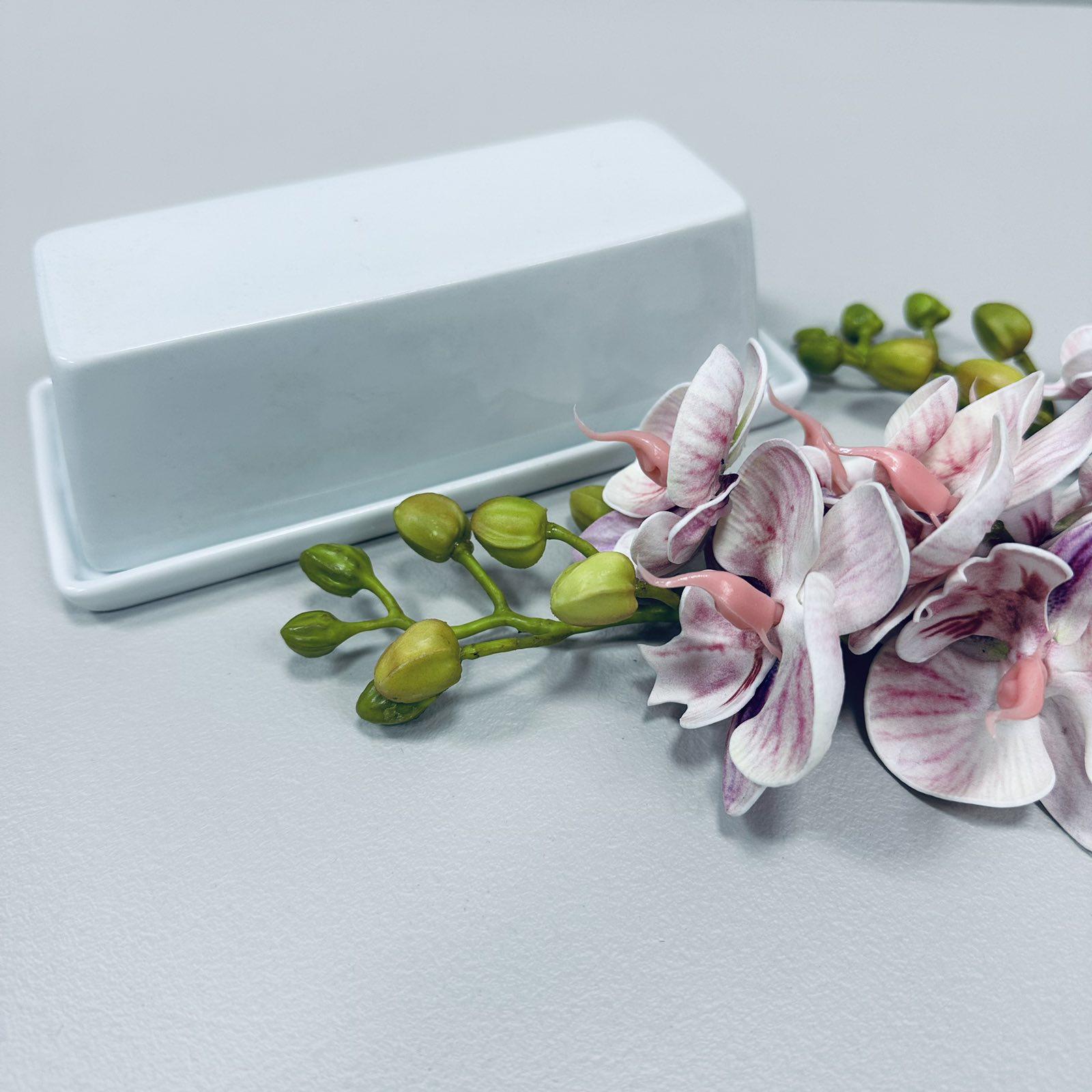 Масленка S&T 2250-00 для хранения масла и сыра 17,2x8,2x5,5 см (2046174120) - фото 3 Масленка S&T 2250-00 для хранения масла и сыра 17,2x8,2x5,5 см (2046174120) - фото 3