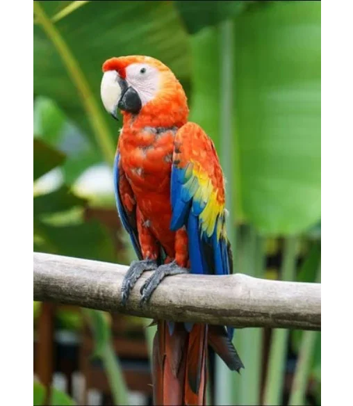 Обогреватель-картина Shine EK-51 250W инфракрасный настенный 106х60 см (536828)