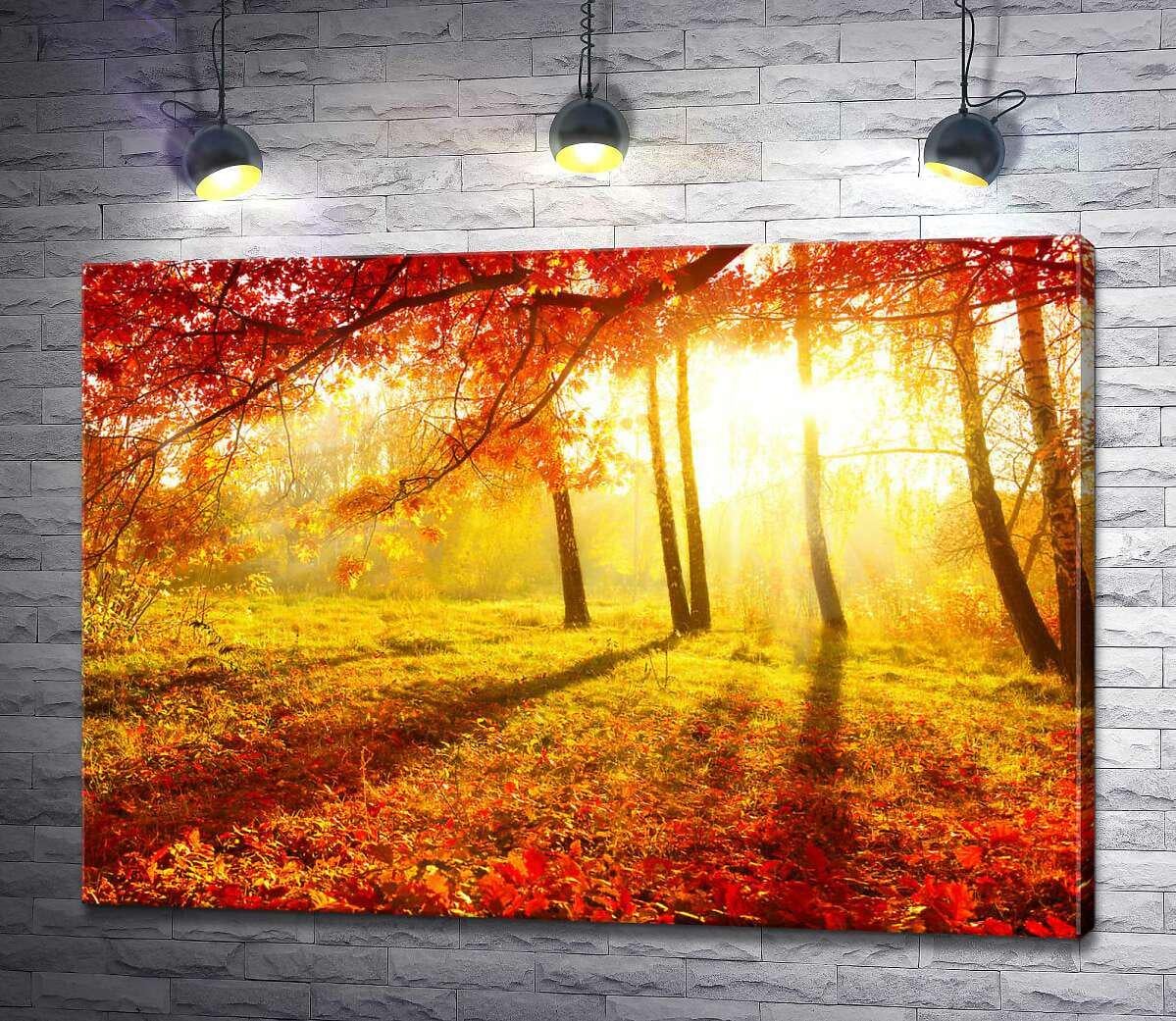 Картина ArtPoster Осеннее солнце подсвечивает красные листья дерева 130x93 см Модуль №1 (002619) Картина ArtPoster Осеннее солнце подсвечивает красные листья дерева 130x93 см Модуль №1 (002619)
