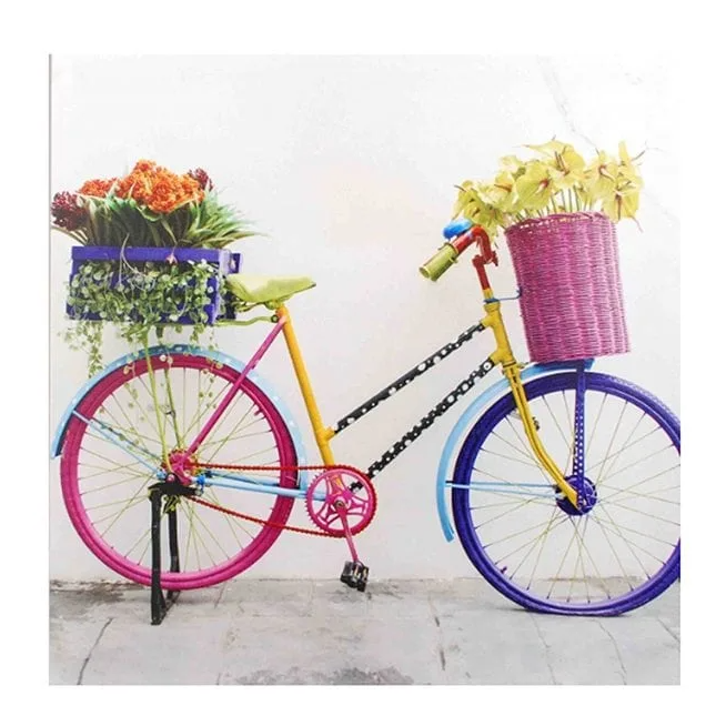 Картина Flora Велосипед 40х40 см (30621)