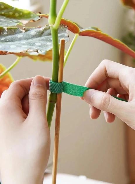 Стрічоки-липучки садові для підв'язки рослин 2 шт. по 5 м Зелений (Е050838-2) - фото 2