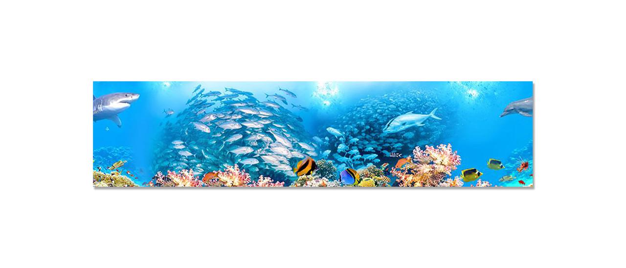 Наклейка виниловая на кухню Zatarga Косяки Рыб 600х2500 мм (1294193570) Наклейка виниловая на кухню Zatarga Косяки Рыб 600х2500 мм (1294193570)